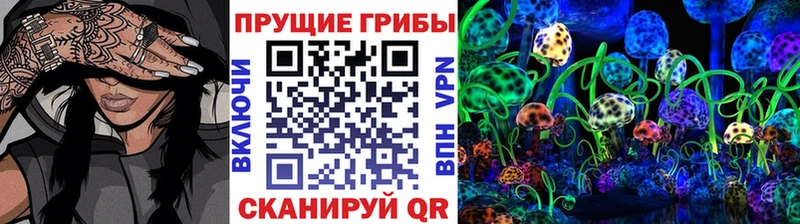 сколько стоит  Лянтор  блэк спрут зеркало  Псилоцибиновые грибы мухоморы 